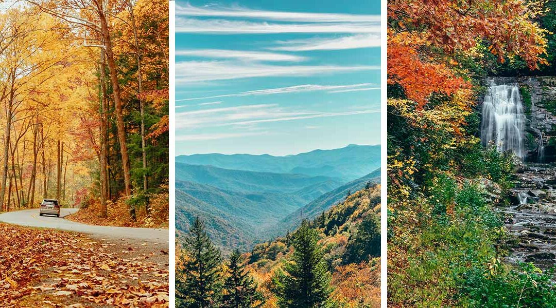 12 Epic Things to Do in Smoky Mountain National Park (& MASSIVE Travel Guide)