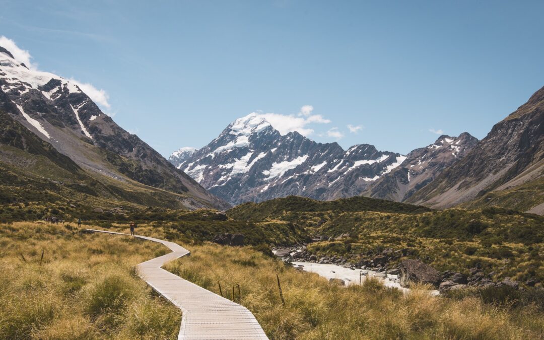 New Zealand borders to reopen to international travellers from 1 May 2022