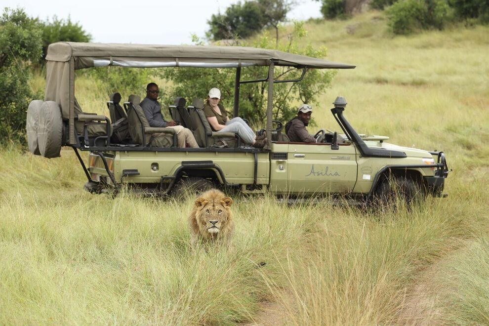 10 things to consider if you want to plan an ethical safari trip