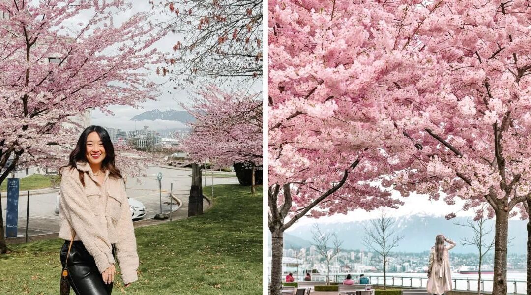 6 Tips For Taking The Perfect Cherry Blossom Pictures According To A Travel Photographer