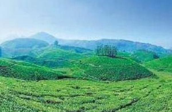 Kerala hill stations in demand among tourists- The New Indian Express
