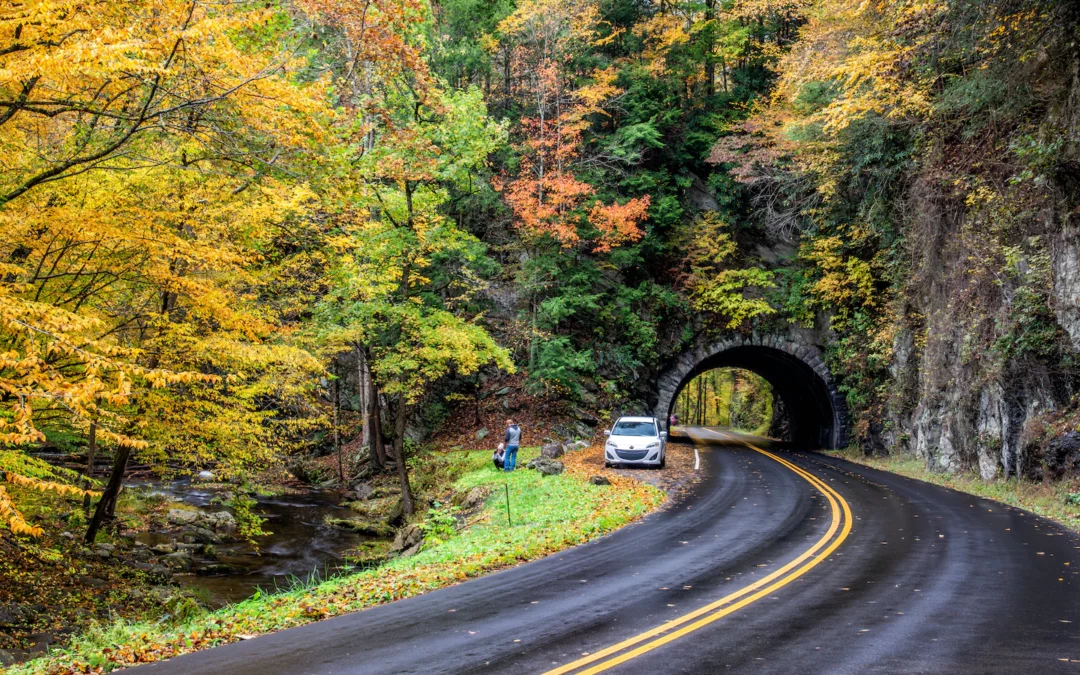 Fall foliage map 2022: The best times for leaf-peeping across the U.S.