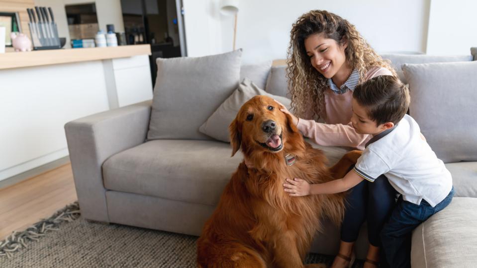 25 Dog Care Tips For Pet Parents – Forbes Advisor