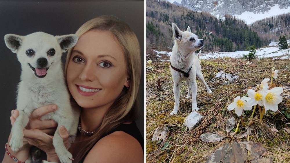 How a mountain-hiking chihuahua helped this Austrian chase her travelling dreams