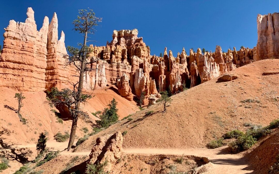 The Best Trails For Hiking in Utah’s National Parks