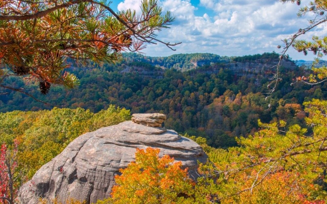 Why Red River Gorge Is Famous & What To See There
