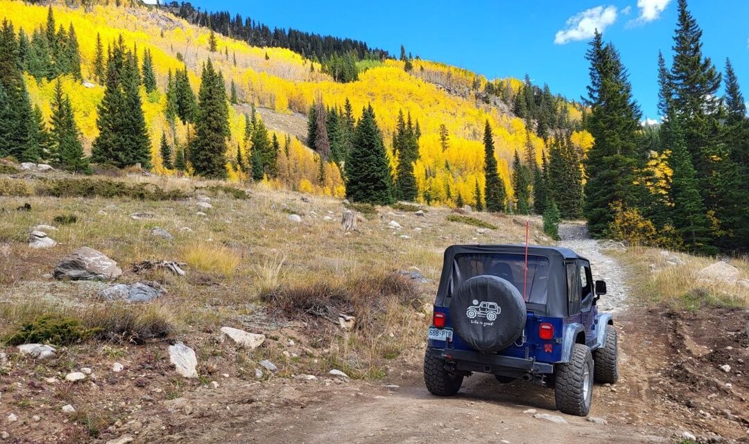 Tips for a safe, fun, rewarding fall watching trip in Colorado