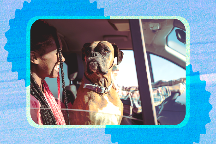Tips for Holiday Traveling with Pets