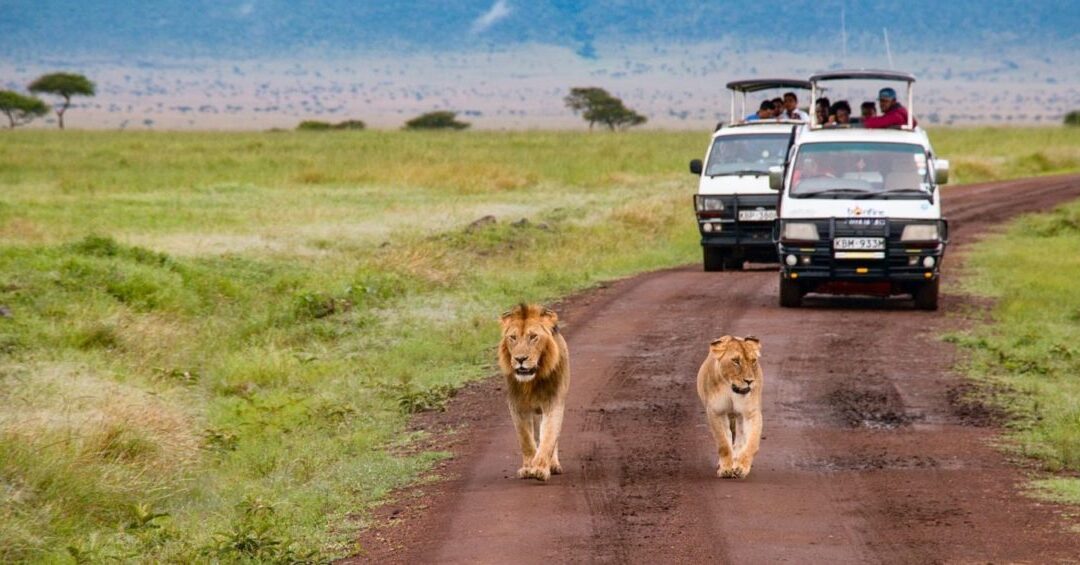 What You Need to Know to Travel to Africa