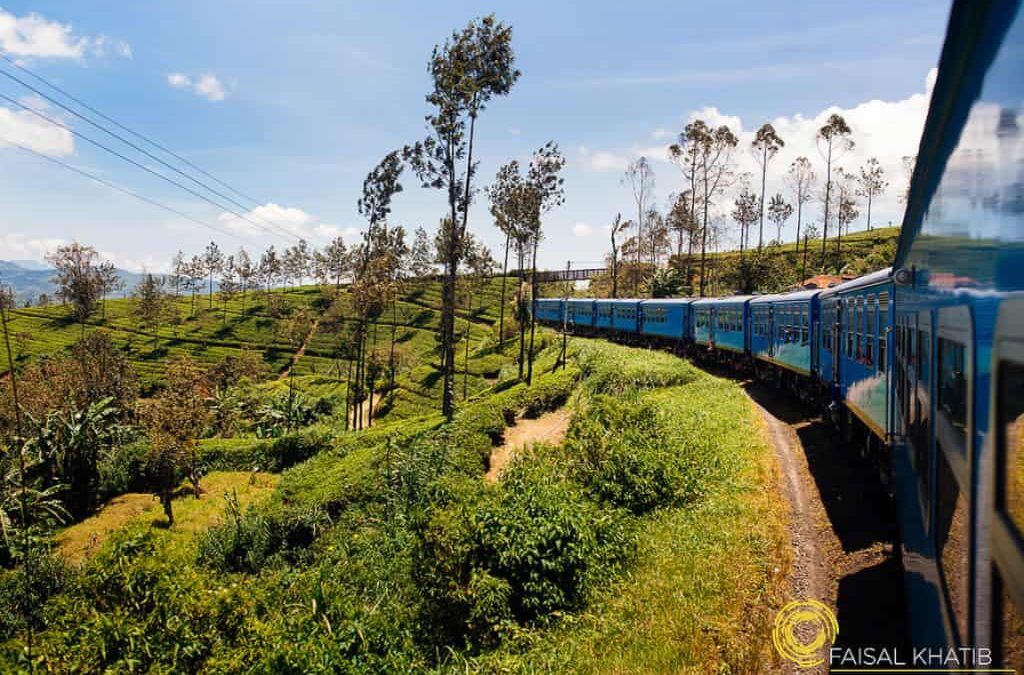 Places to Visit in Nuwara Eliya Beyond Tea Plantations