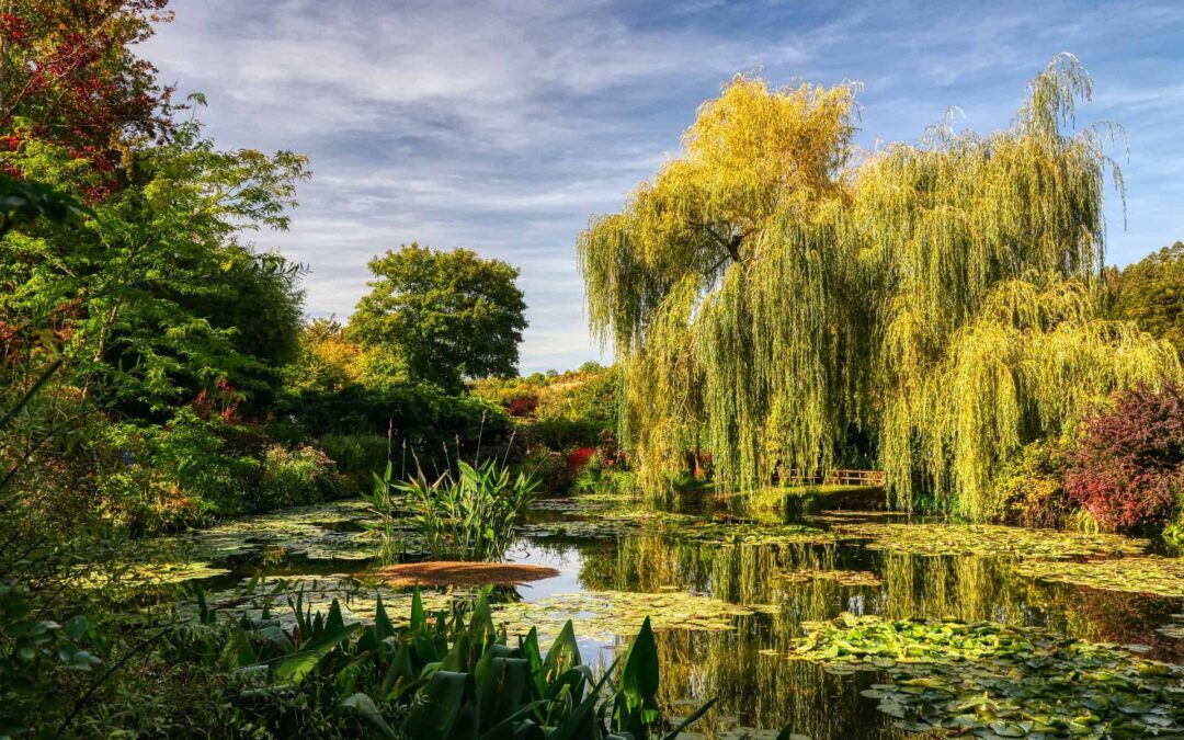Claude Monet’s House: How to Plan a Giverny Day Trip from Paris