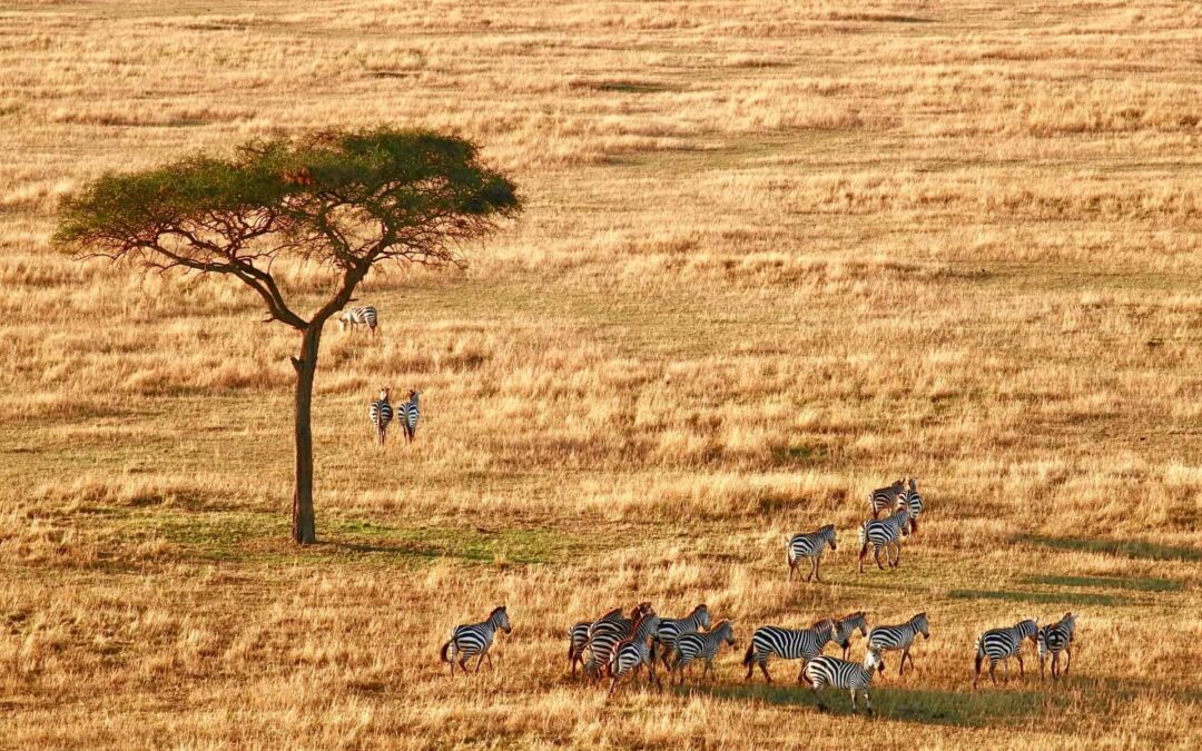 10 Things to Know About Serengeti National Park