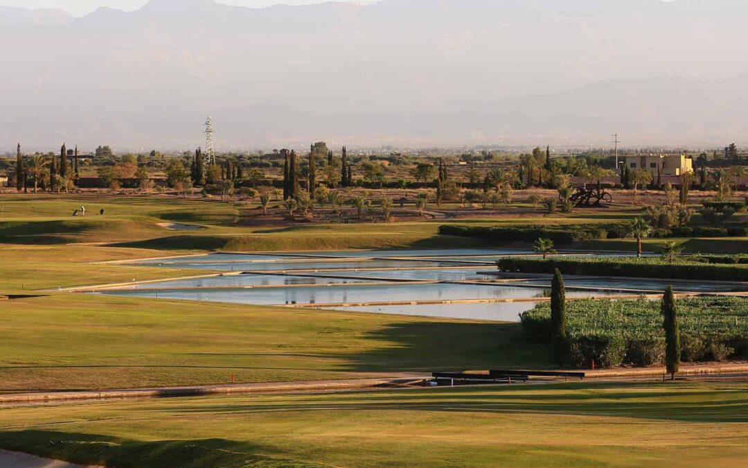 Where to Experience the Best Golfing in Marrakech