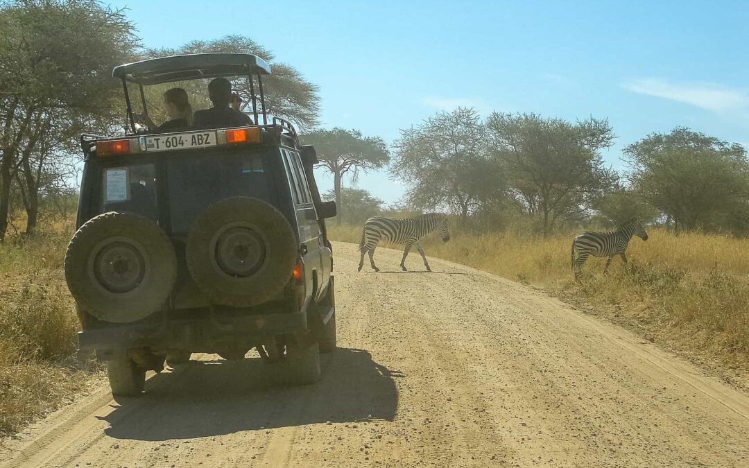 How to Get to Serengeti National Park From Arusha