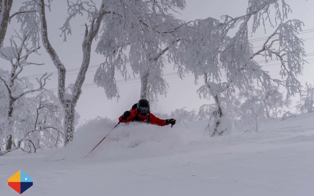 Beginners Allowed: A JAPOW Paradise for Skiers of all Levels